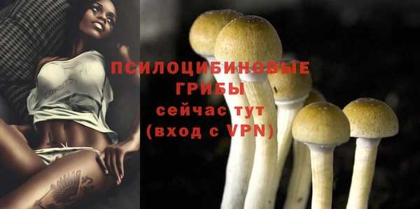 эйфоретик Дмитровск