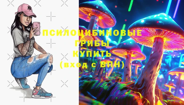 СК Дмитров