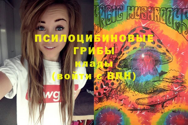 ALPHA PVP Дмитриев