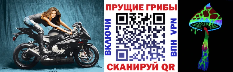 купить наркотик  Плавск  Галлюциногенные грибы GOLDEN TEACHER 